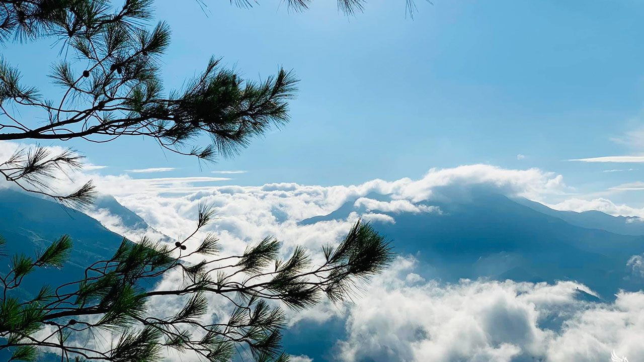 Thiên đường mây Tà Xùa - Cảnh đẹp Yên Bái khiến du khách mê quên lối về