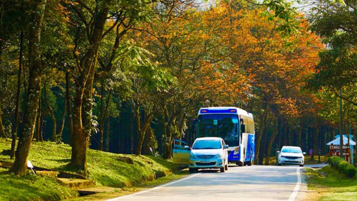 Đông Phong Transport - Dịch vụ cho thuê xe đi vườn quốc gia Ba Vì chất lượng