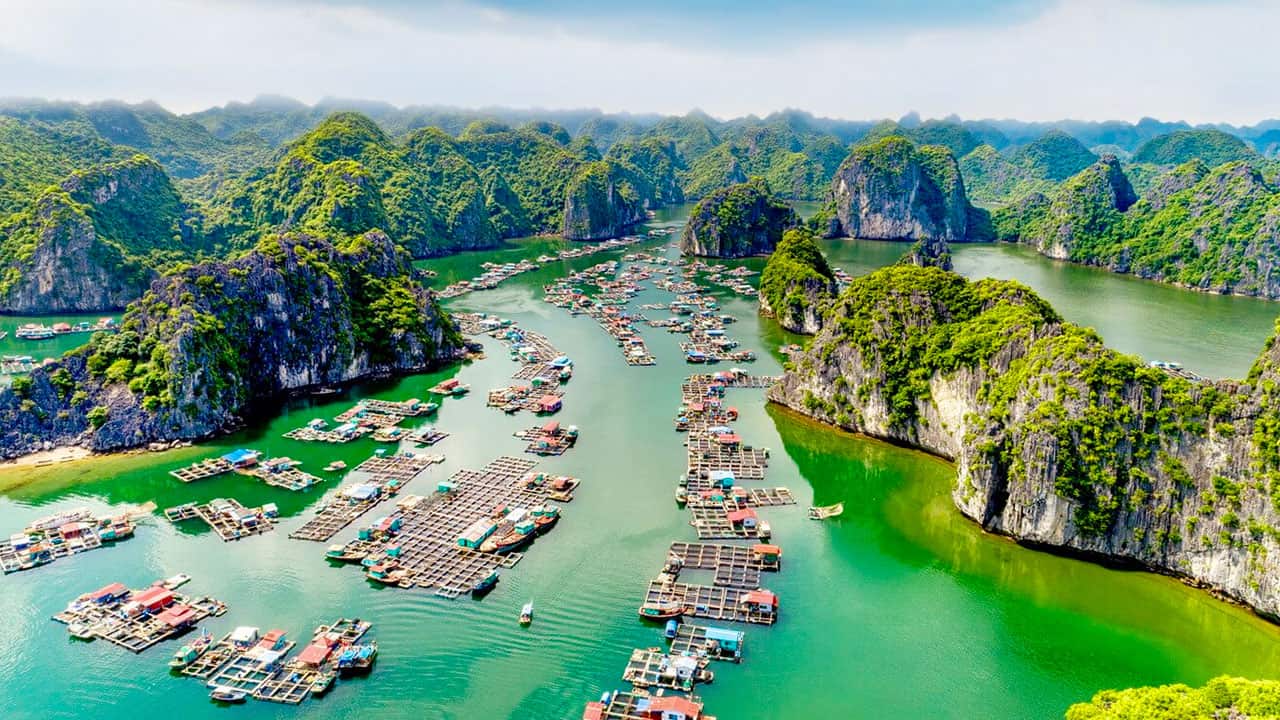 Vịnh Lan Hạ – Bức tranh thủy mặc giữa biển trời Đông Bắc