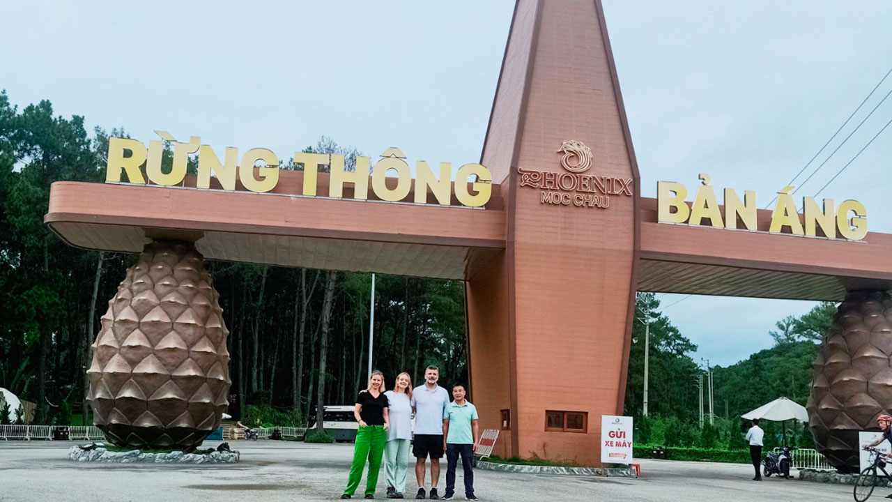 Chụp ảnh check in tại Rừng thông Bản Áng