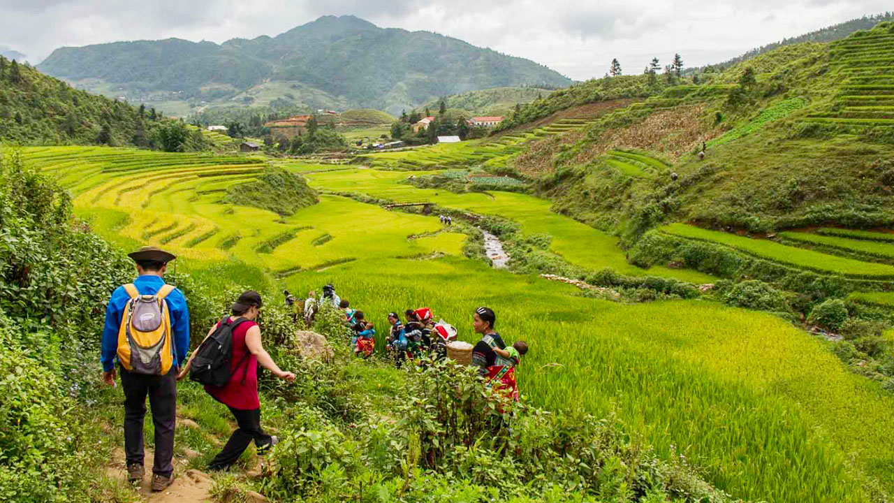 Trekking thu hút nhiều du khách trải nghiệm