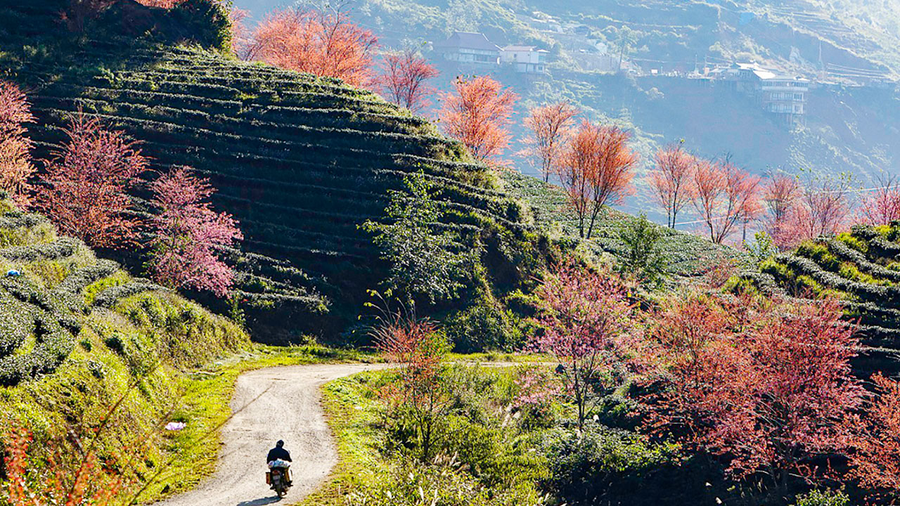 Cung đường Sapa