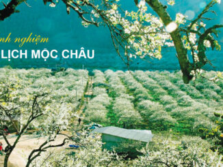 Kinh nghiệm du lịch Mộc Châu