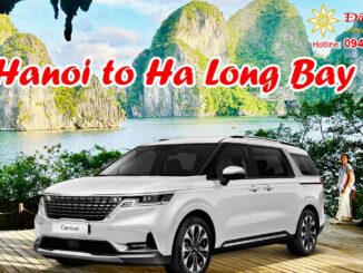 Private car service of Đông Phong Transport