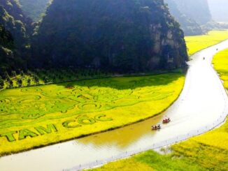 Tam Coc
