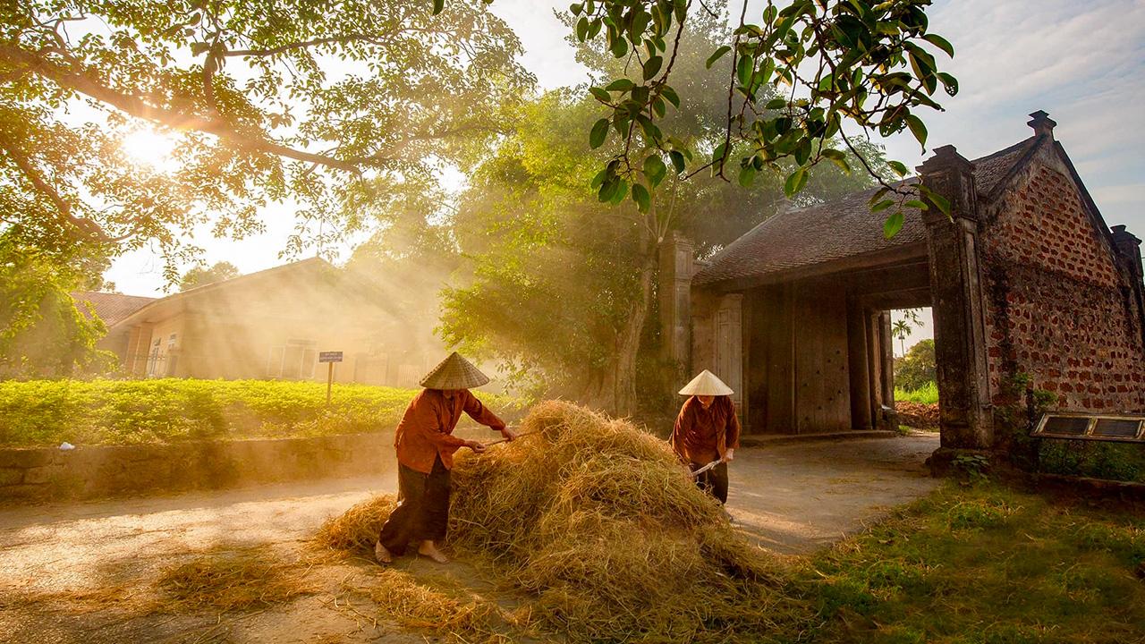 Du lịch Làng cổ Đường Lâm