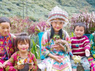 Hanoi to Sapa: Train vs Private cars- The Ultimate Travel Guide & Top Attractions Tips for a Smooth Trip from Hanoi to Sapa