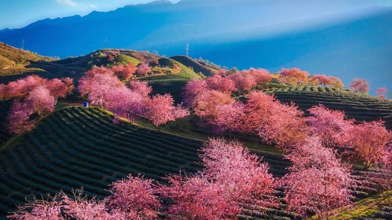 Weather and Best Time to Visit Sapa