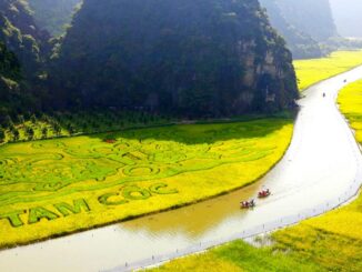 Hanoi to Tam Coc: A Journey Overview Best Time to Visit Tam Coc from Hanoi