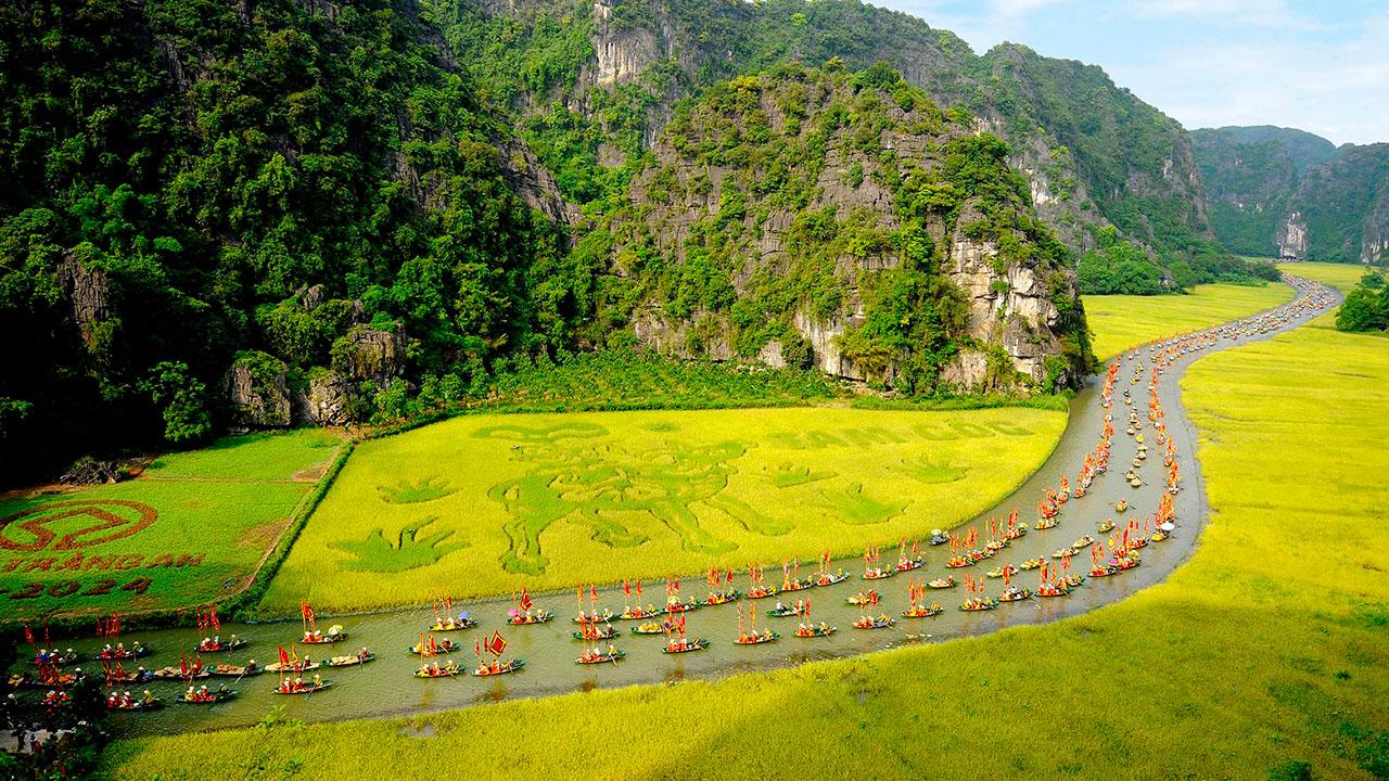 The Scenic Rice Paddies