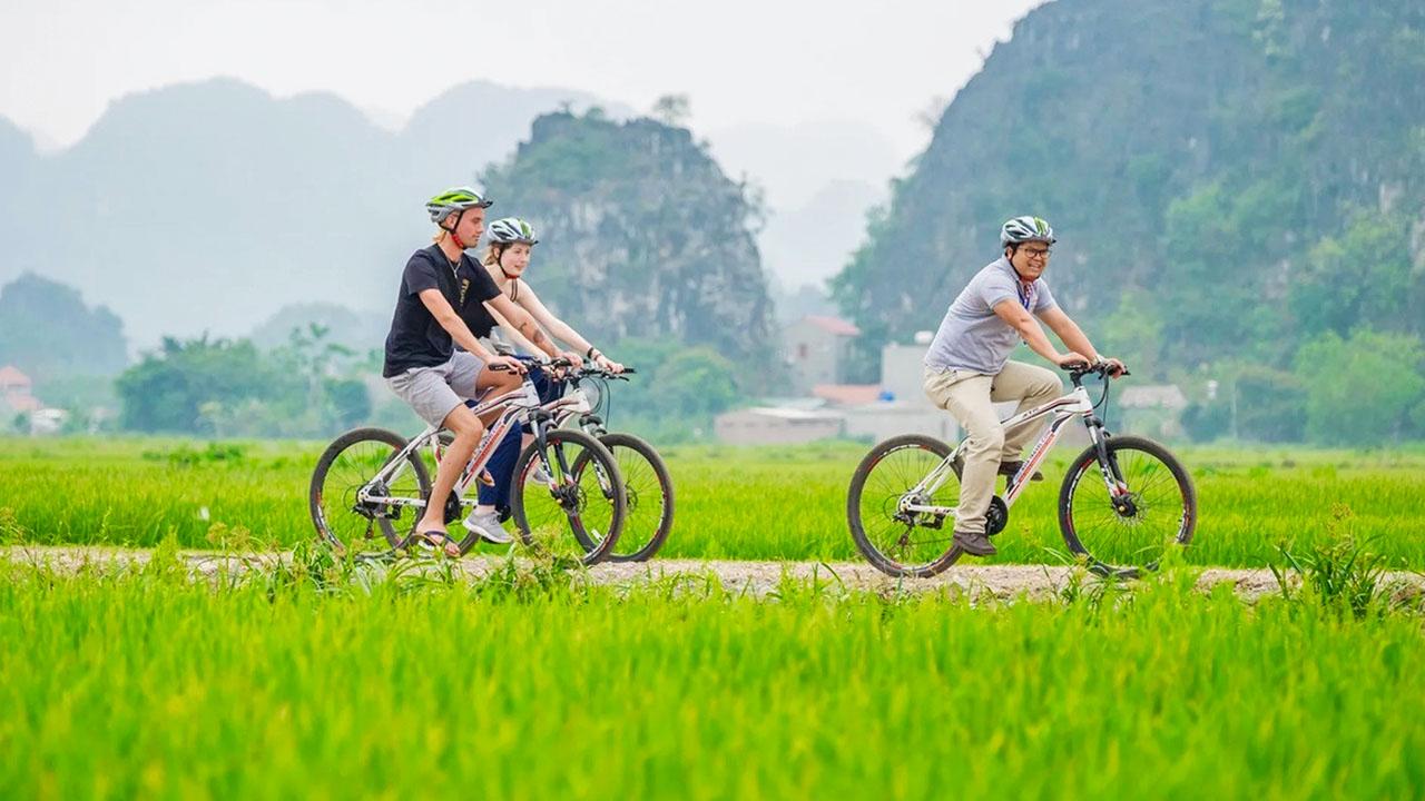 Cycling Through the Countryside