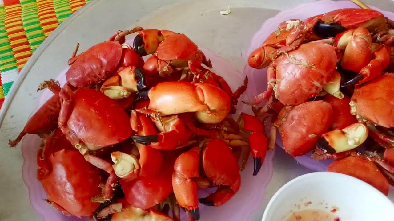 Món cù kỳ hấp ngon với giá cả phải chăng