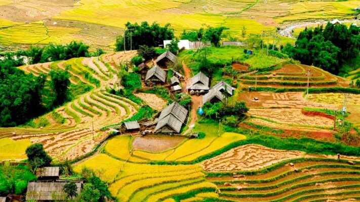 Mùa thu Sapa nhuộm sắc vàng của những thửa ruộng bậc thang mùa lúa chín