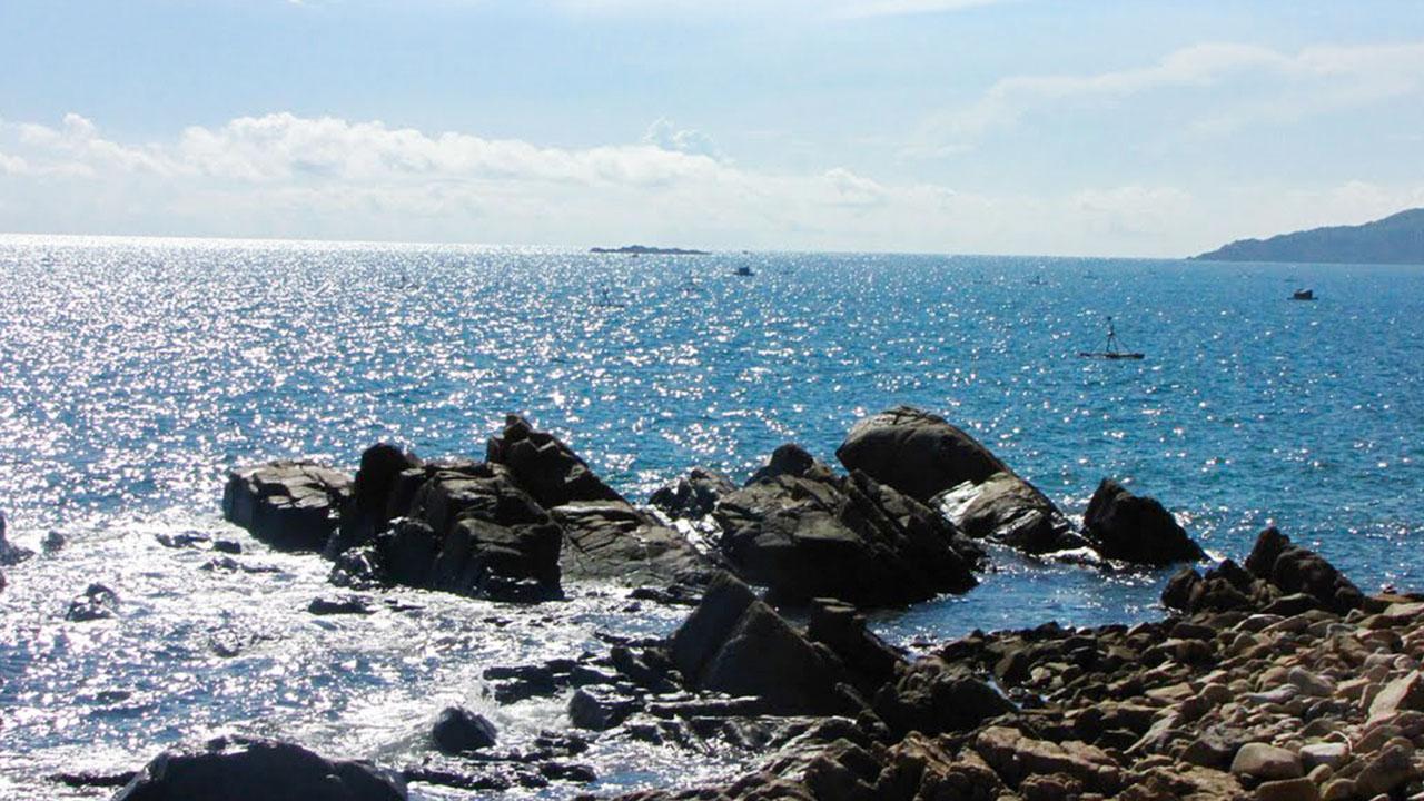 Bãi Dại Quy Nhơn