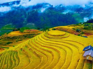 Du lịch Mù Cang Chải - Khám phá mùa vàng Tây Bắc