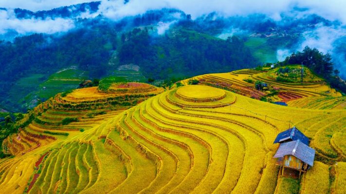 Du lịch Mù Cang Chải - Khám phá mùa vàng Tây Bắc