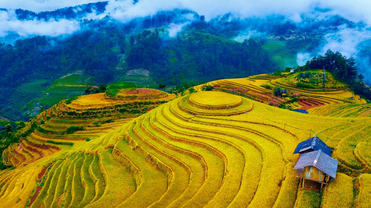Du lịch Mù Cang Chải - Khám phá mùa vàng Tây Bắc