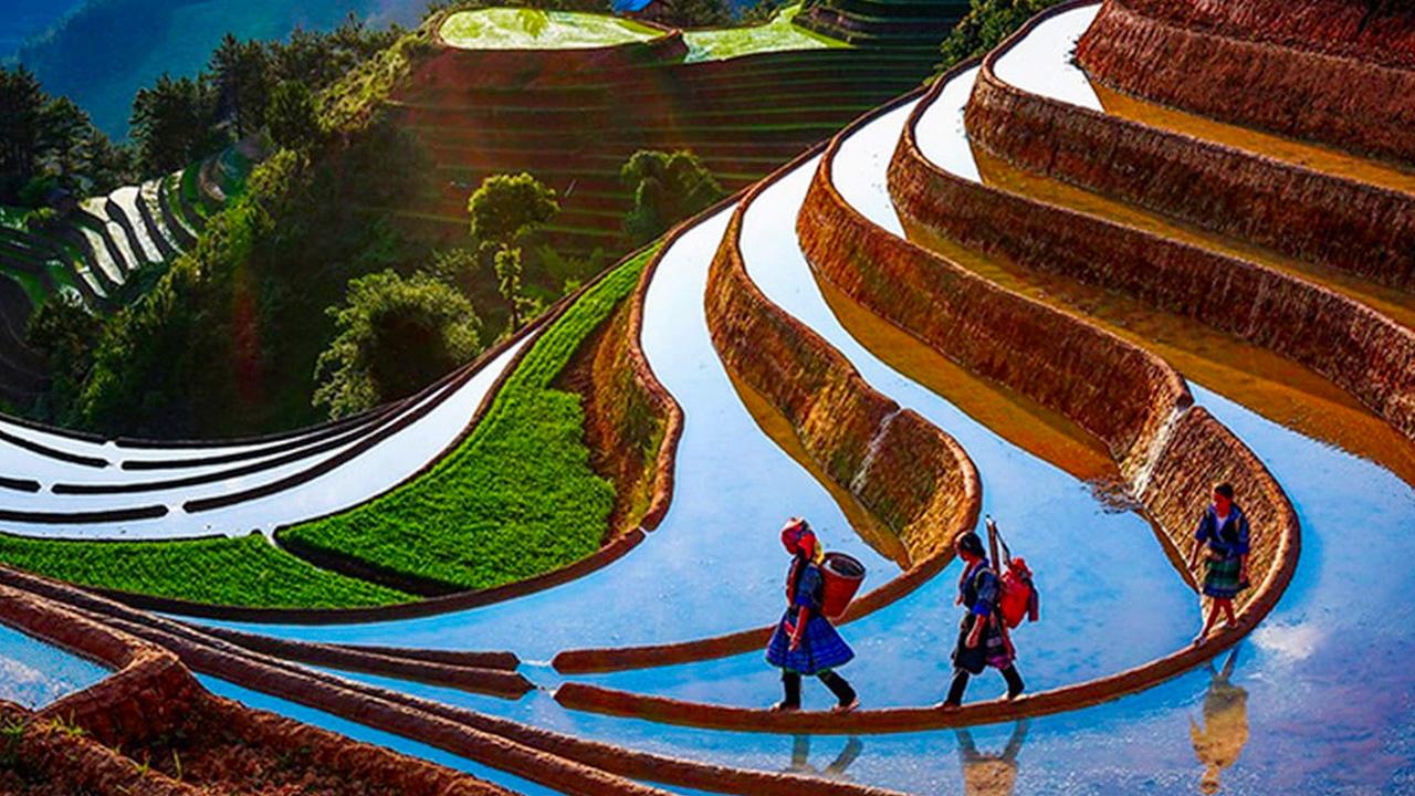 Ruộng bậc thang Mù Cang Chải
