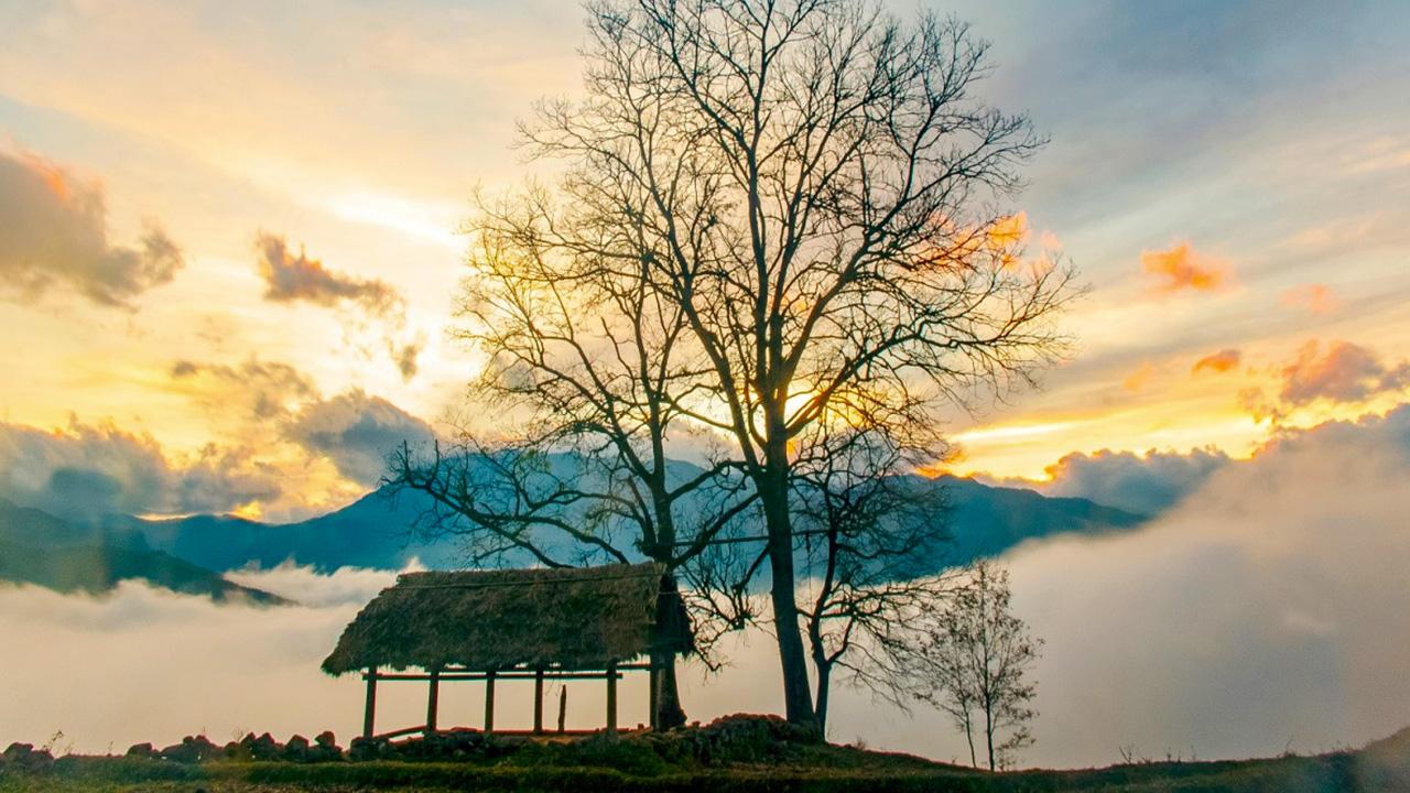 Cảnh sắc Y Tý