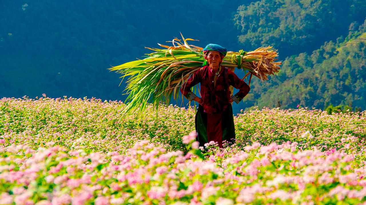 Các hoạt động không thể bỏ qua khi đến Hà Giang