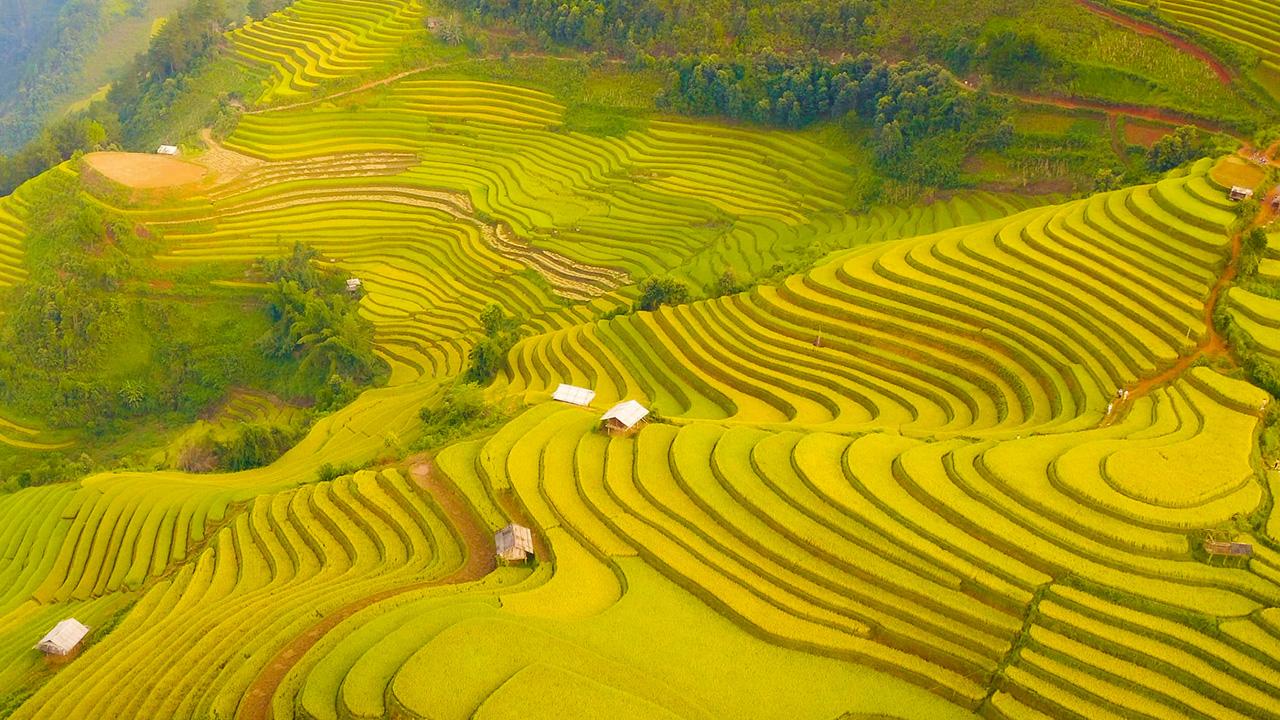 Hình Ảnh Cánh Đồng Ruộng Bậc Thang