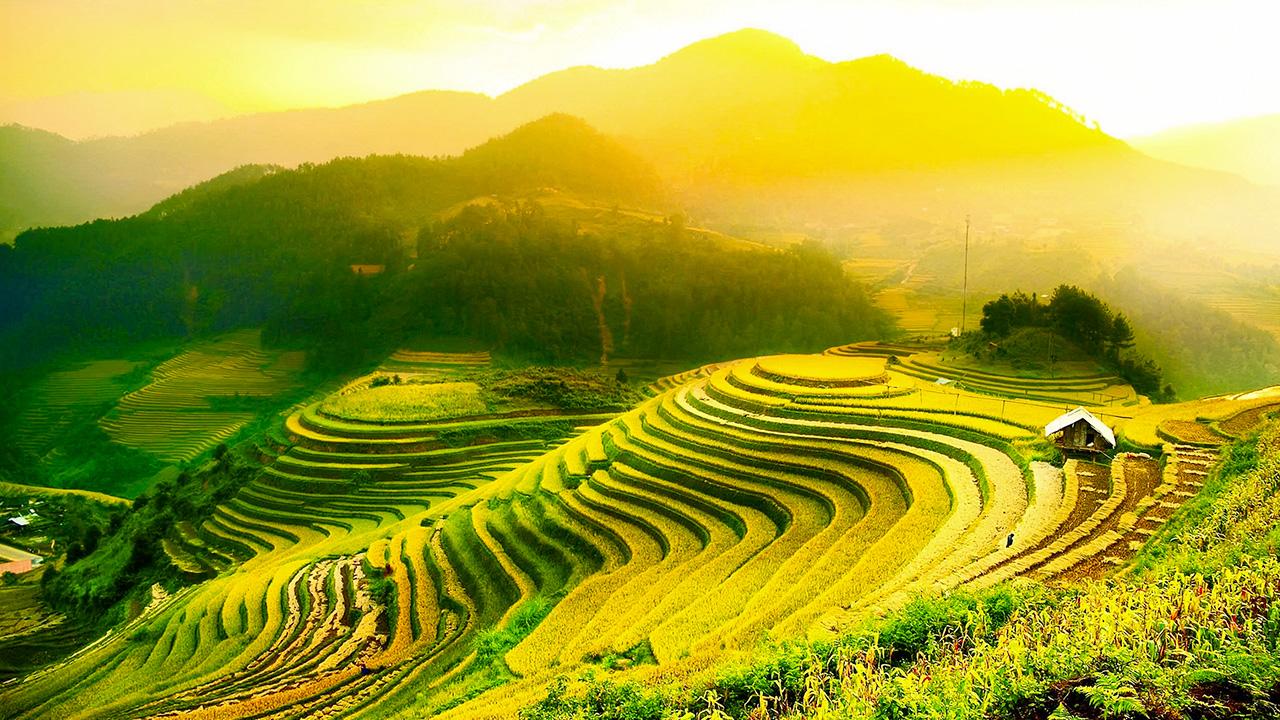 Thời Điểm Đẹp Nhất Để Ngắm Mùa Vàng