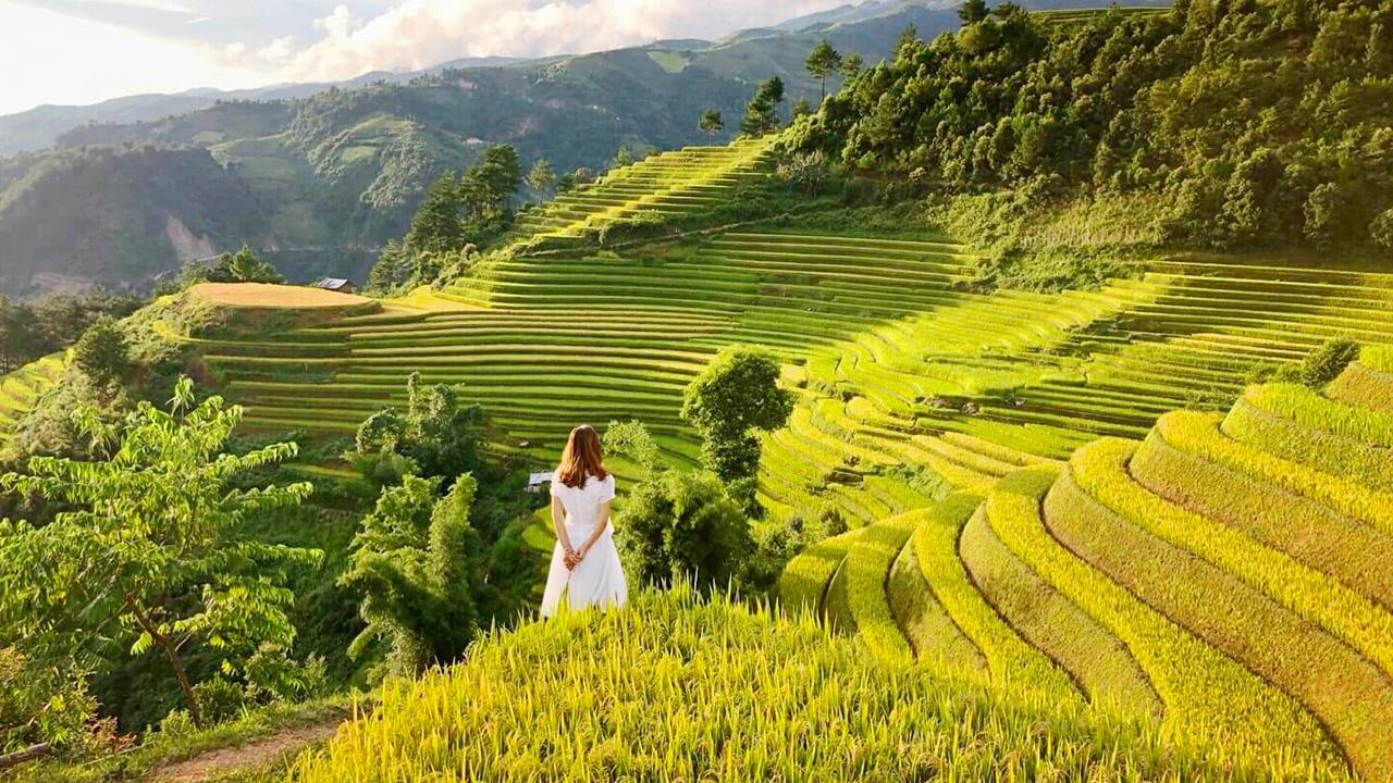 Chụp ảnh mùa vàng Mù Cang Chải