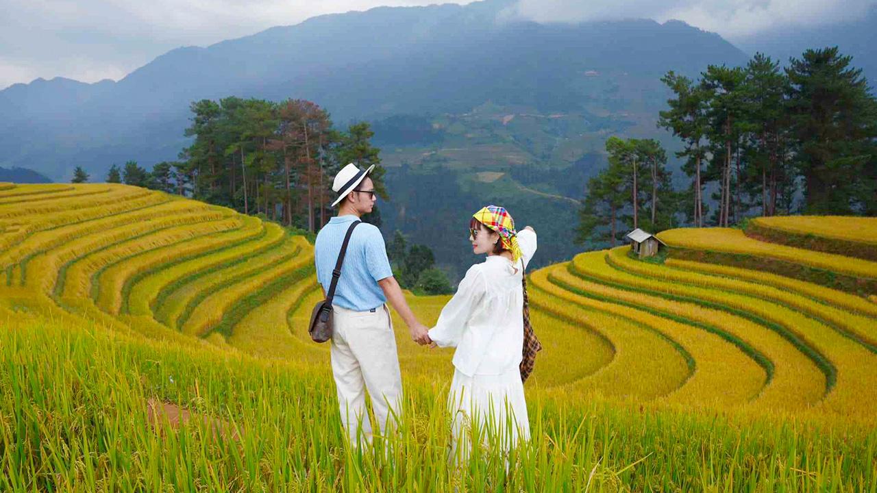 Khu Vực Ngắm Mùa Vàng Đẹp Nhất