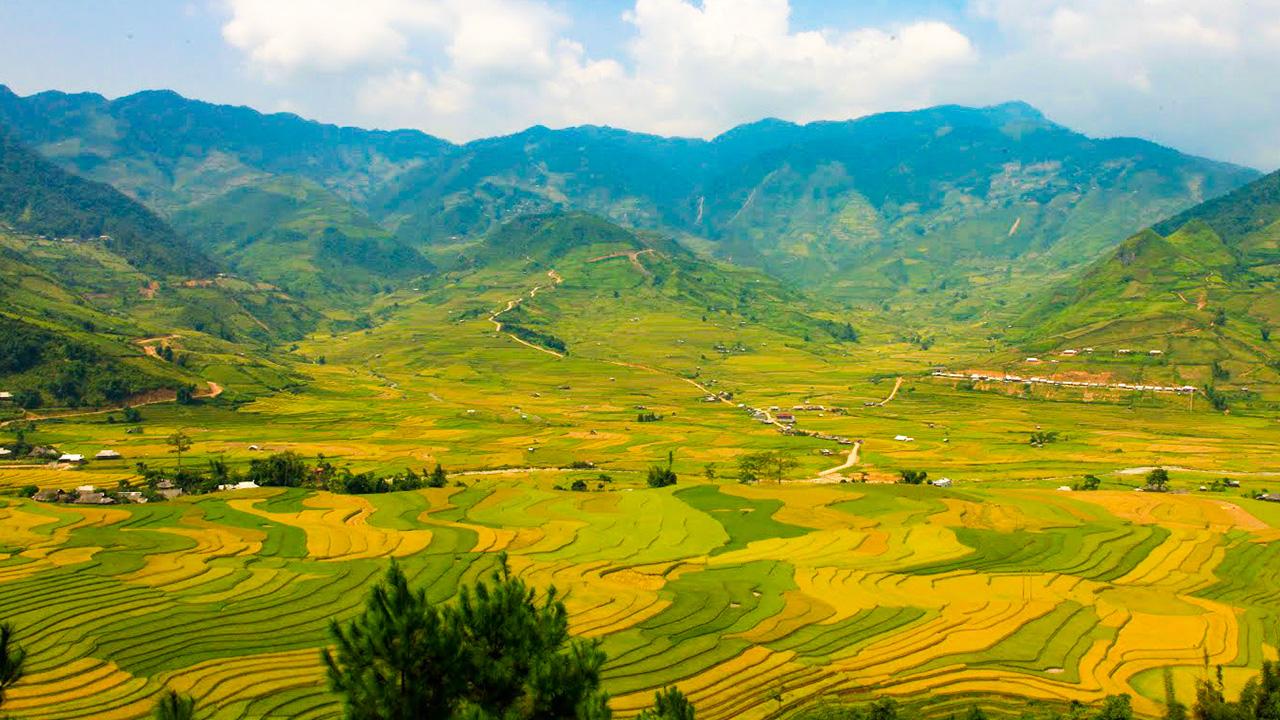 So Sánh Mùa Vàng Mù Cang Chải Với Các Khu Vực Khác