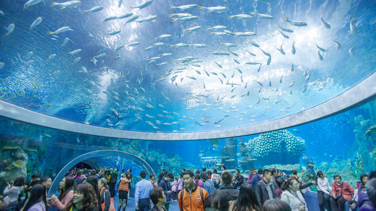 Viện Hải dương học Nha Trang – Nơi lưu giữ sinh vật biển quý hiếm